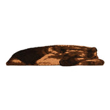 Fallen Fruits Coir Doormat Sleeping Guard Dog