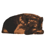 Fallen Fruits Coir Doormat Sleeping Guard Dog